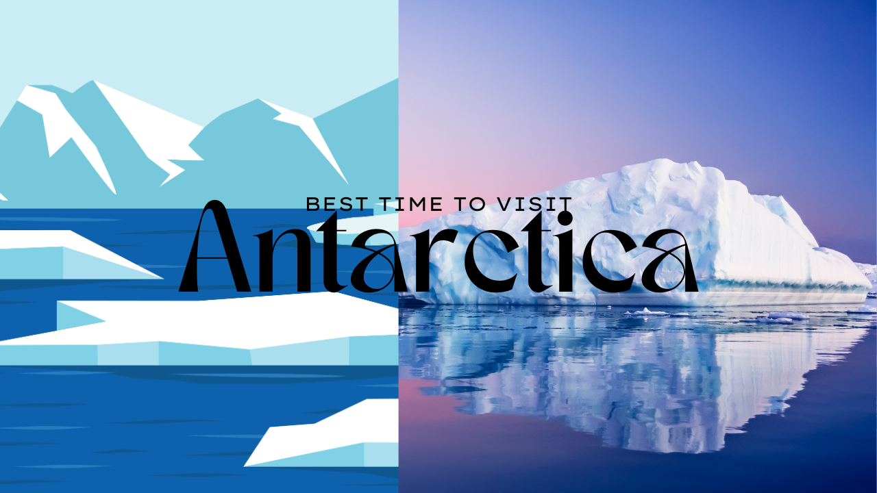 Best Time to Visit Antarctica